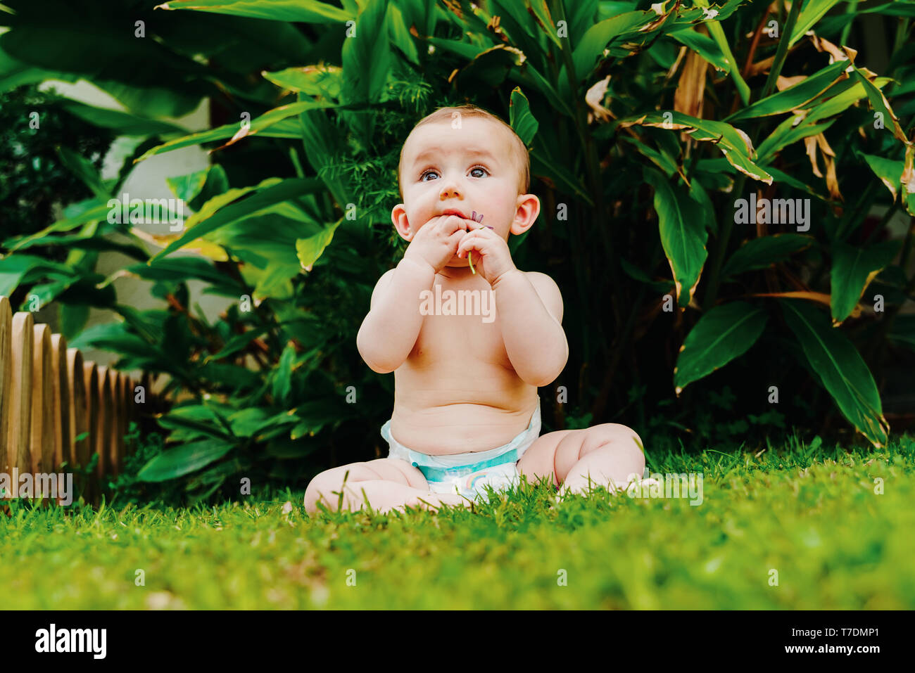 Bebe En Couche Sans Vetements Assis Sur L Herbe De Grignoter Une Fleur Photo Stock Alamy