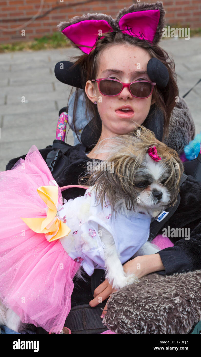 , Boscombe Bournemouth, Dorset, UK. 6e mai 2019. Dash teckel, partie de Bournemouth Arts Émergents (Fringe Festival BEAF) invite les teckels et leurs propriétaires pour rassembler sous le Daschund artwork pour voir combien ils peuvent se rassembler en un seul endroit. La Fayette, Mi-chien ki est dépassé par tous les teckels, mais reçoit beaucoup d'attention dans un uniforme meilleur robe ! Credit : Carolyn Jenkins/Alamy Live News Banque D'Images