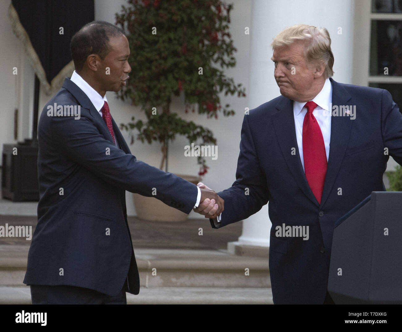 6 mai 2019 - Washington, District of Columbia, États-Unis - Le Président des Etats-Unis, Donald J. Trump, droite, serre la main avec Tiger Woods, golfeur professionnel gauche, alors qu'il présente la Médaille présidentielle de la liberté pour lui dans la roseraie de la Maison Blanche à Washington, DC, le 6 mai 2019. La Médaille présidentielle de la liberté est une récompense décernée par le président des États-Unis à reconnaître les gens qui ont fait de ''une contribution méritoire à la sécurité ou aux intérêts nationaux des États-Unis, la paix mondiale, culturelle ou autre entreprise publique ou privée.''.Cred Banque D'Images