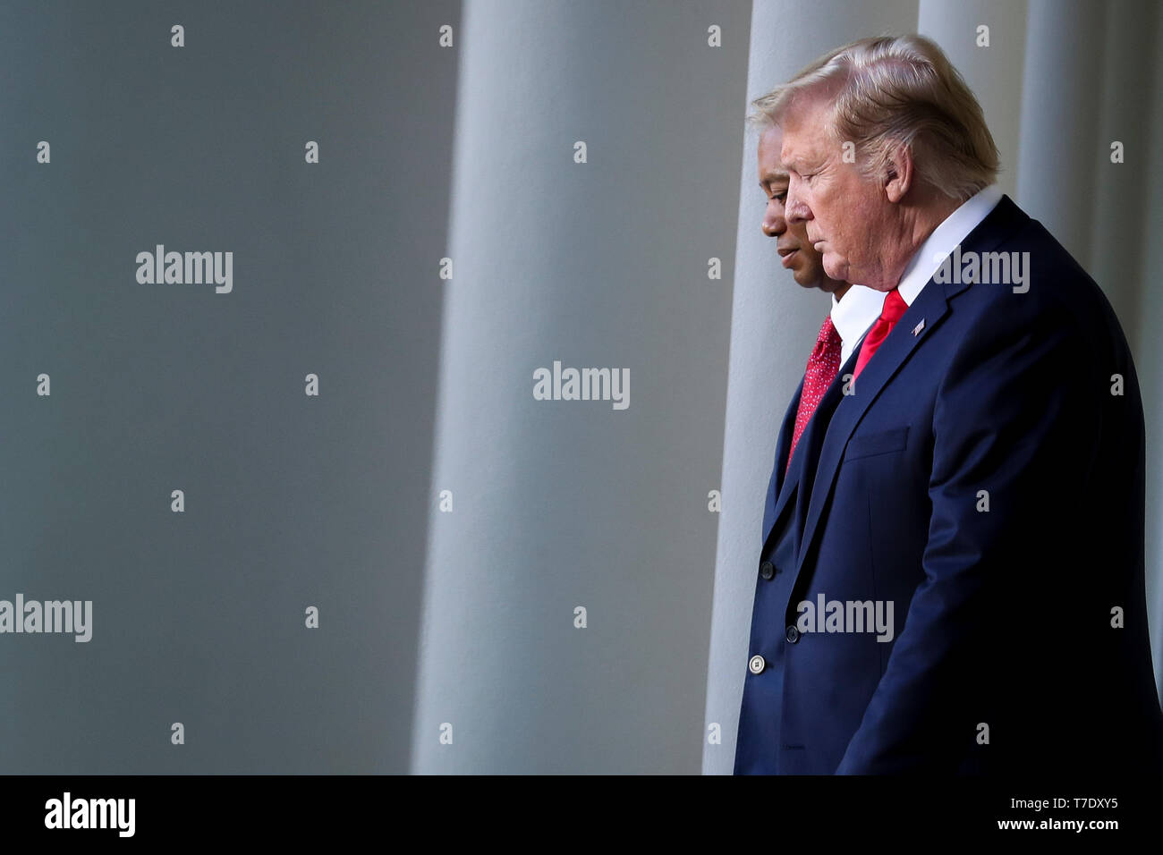 Le Président des Etats-Unis, Donald J. Trump accompagné de Tiger Woods sort du Bureau Ovale pour une cérémonie dans la roseraie de la Maison Blanche le 6 mai 2019. Trump présentera Tiger Woods la Médaille présidentielle de la liberté à Washington, DC. Credit : Oliver Contreras/piscine par CNP | conditions dans le monde entier Banque D'Images