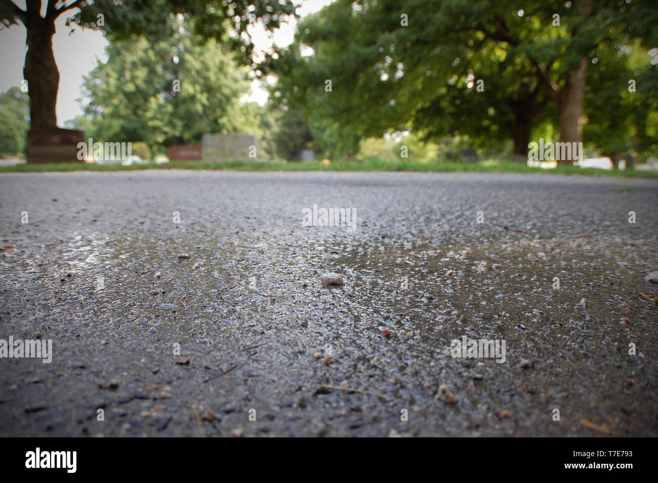 Niveau de la surface de la capture d'une chaussée mouillée après une pluie d'été. Banque D'Images