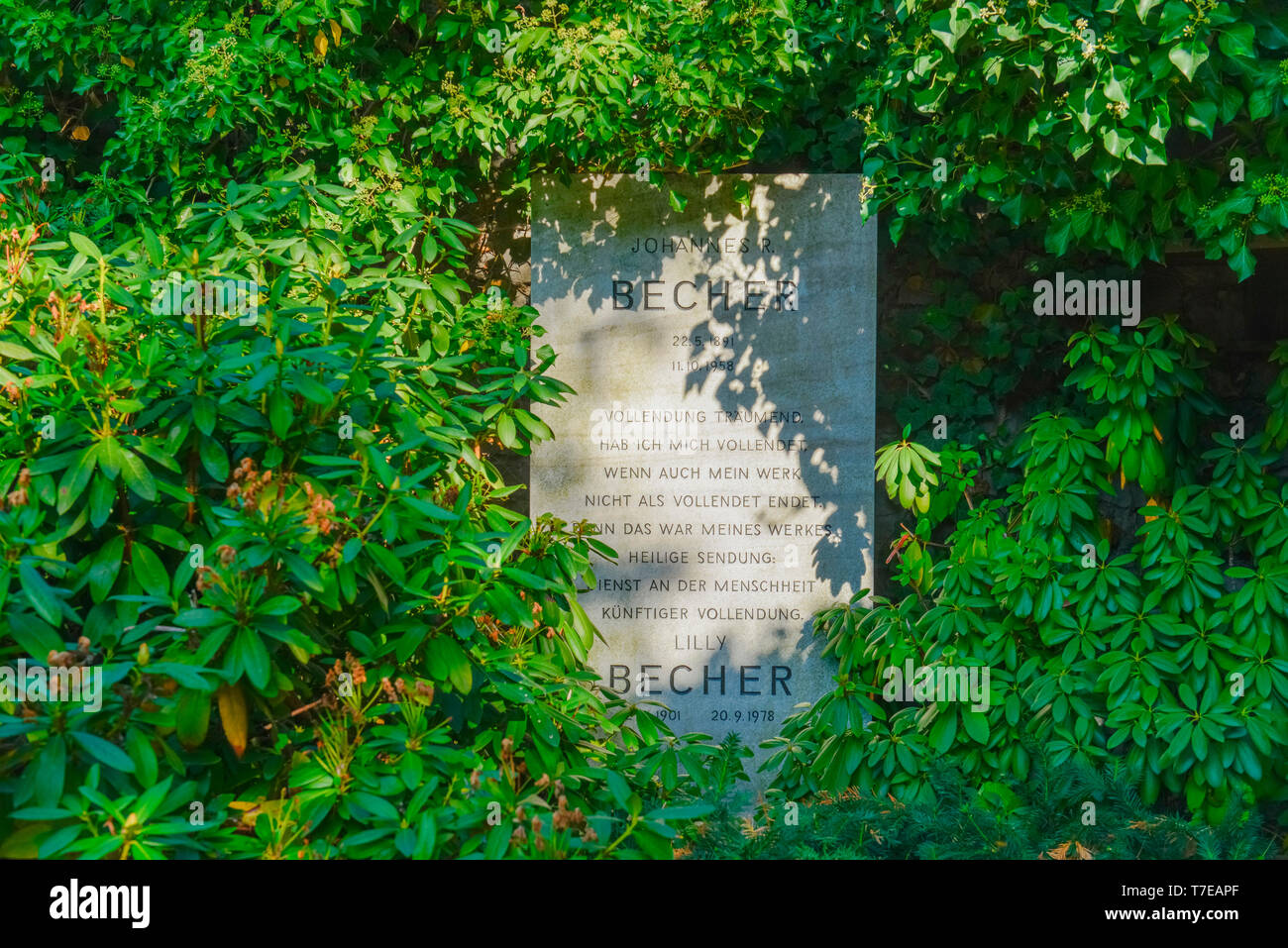 Grab, Johannes R. Becher, Dorotheenstaedtischer Friedhof, Chausseestrasse, Mitte, Berlin, Deutschland, Dorotheenstädtischer Friedhof Banque D'Images