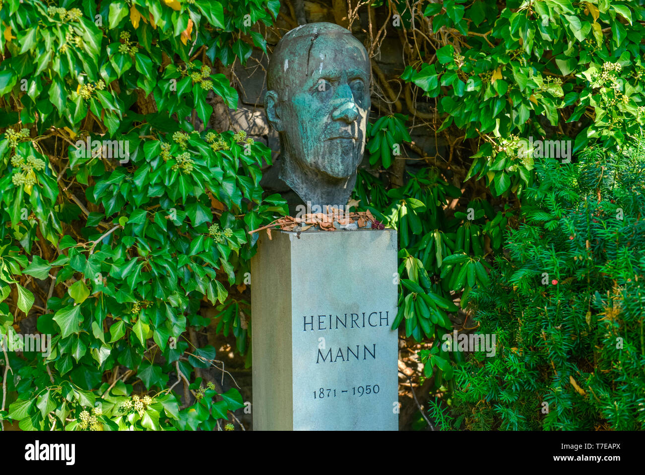 Grab, Heinrich Mann, Dorotheenstaedtischer Friedhof, Chausseestrasse, Mitte, Berlin, Deutschland, Dorotheenstädtischer Friedhof Banque D'Images