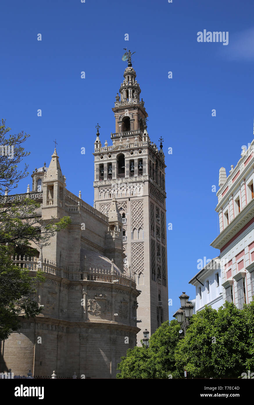 L'Espagne. L'Andalousie. Séville. La Tour Giralda, ancien minaret de la Grande Mosquée. Style almohade. 12e siècle. La Cathédrale de Séville. Banque D'Images