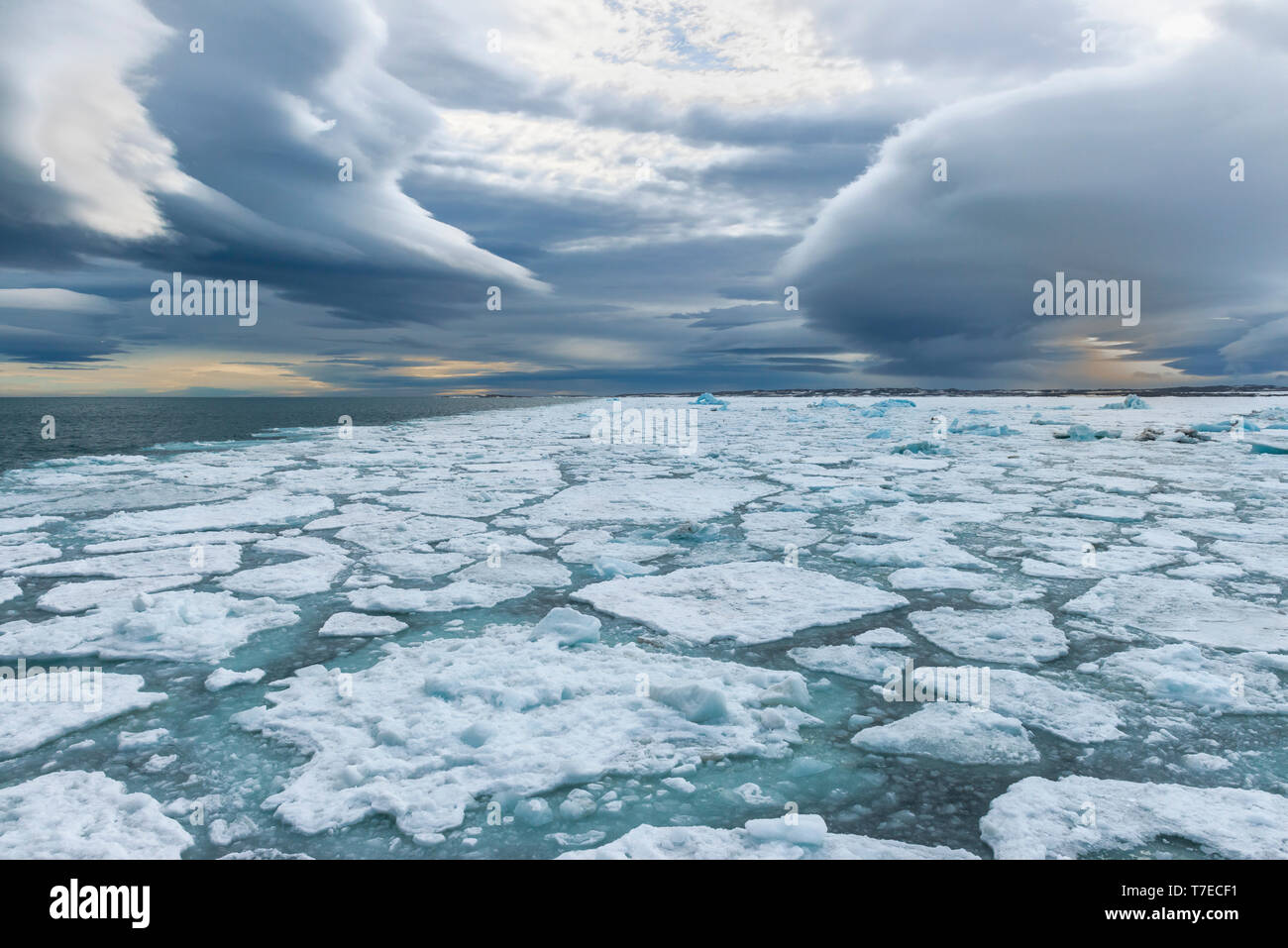 La banquise, Bjornsundet, île du Spitzberg, archipel du Svalbard, Norvège Banque D'Images