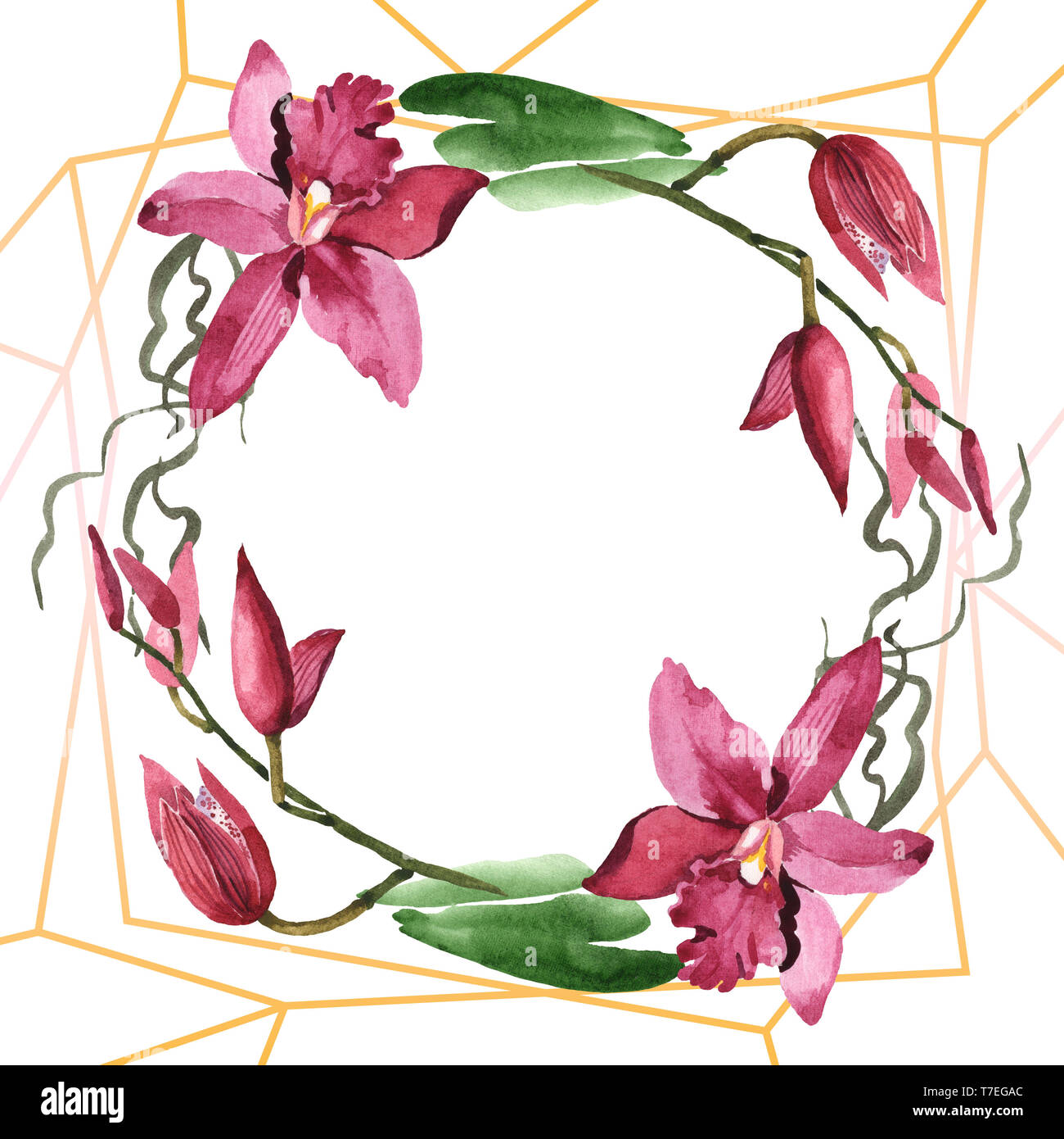 Floral fleurs orchidées botaniques de Marsala. Lame de ressort sauvages isolés de fleurs sauvages. Contexte aquarelle illustration set. Aquarelle Dessin fashion aqu Banque D'Images