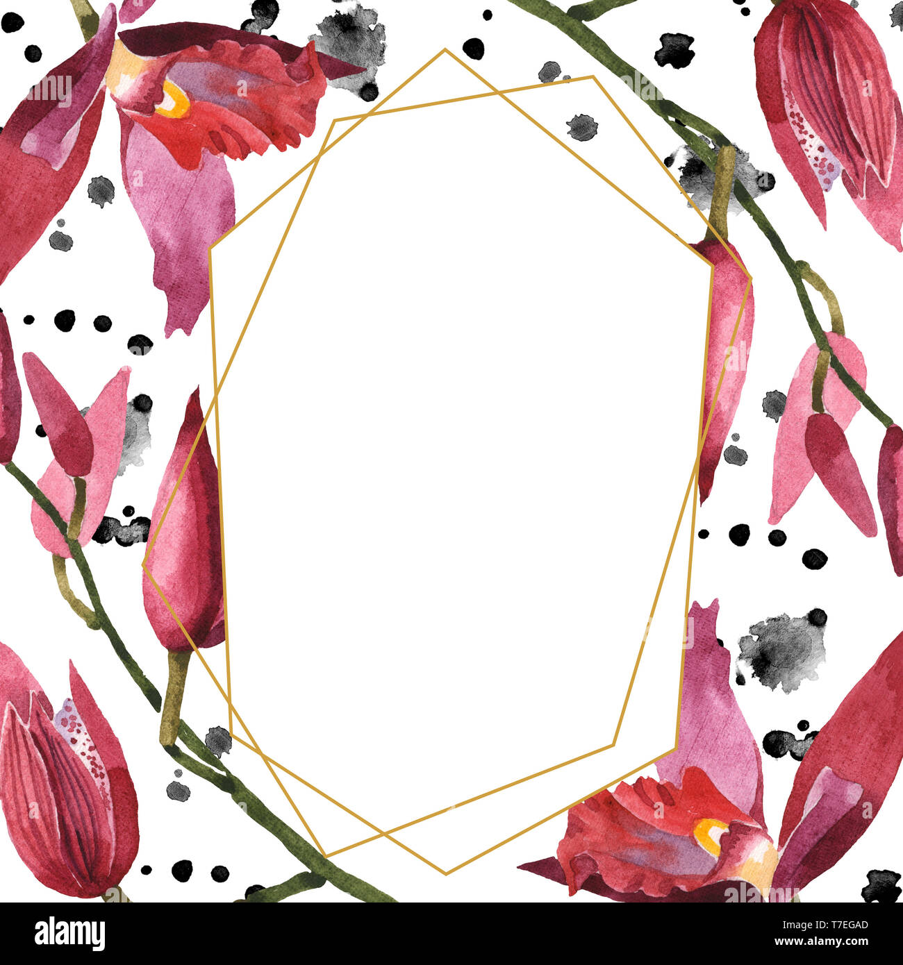 Floral fleurs orchidées botaniques de Marsala. Lame de ressort sauvages isolés de fleurs sauvages. Contexte aquarelle illustration set. Aquarelle Dessin fashion aqu Banque D'Images