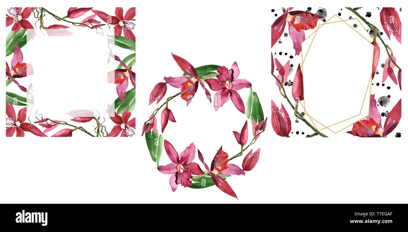 Floral fleurs orchidées botaniques de Marsala. Lame de ressort sauvages isolés de fleurs sauvages. Contexte aquarelle illustration set. Aquarelle Dessin fashion aqu Banque D'Images