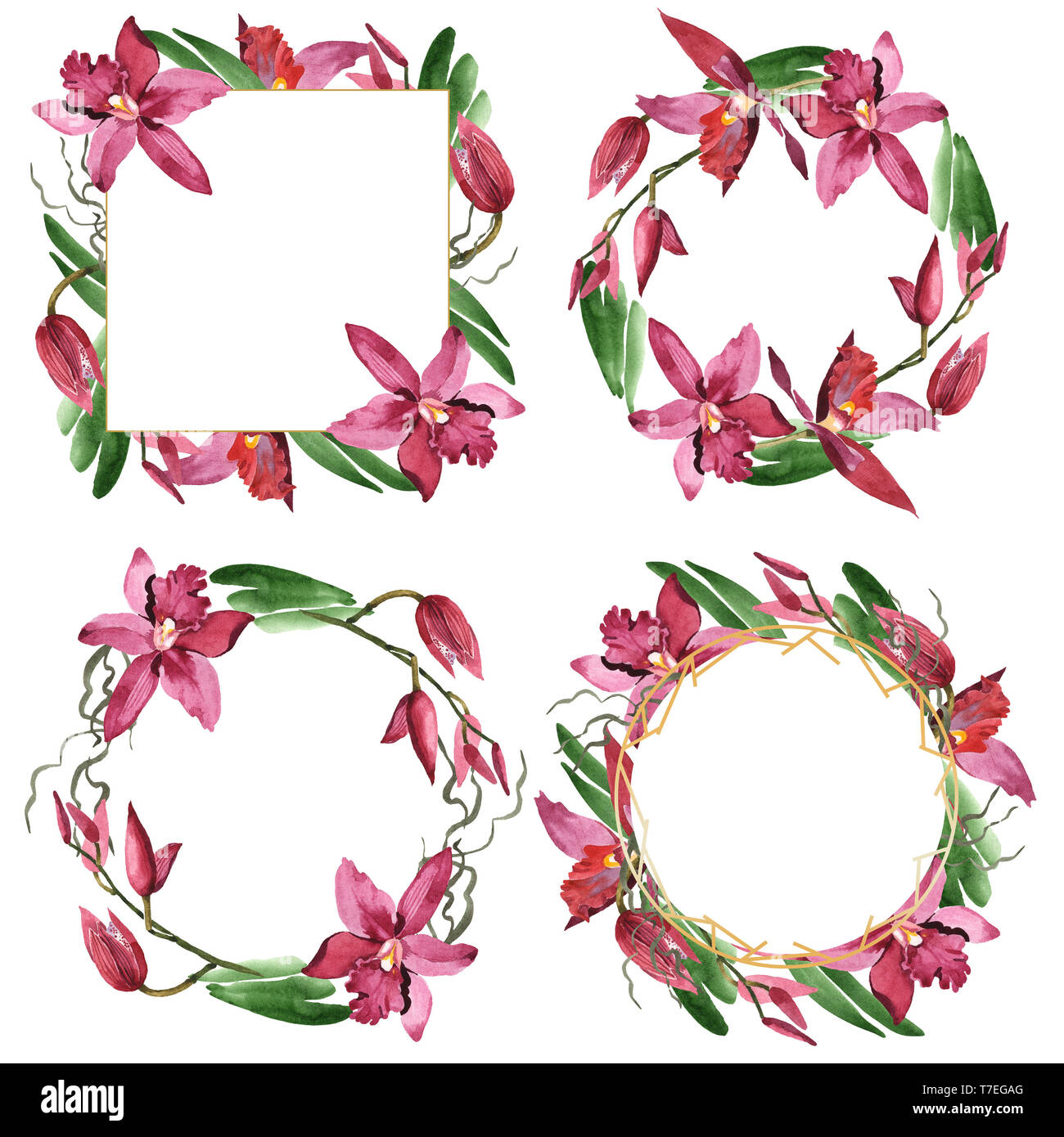 Floral fleurs orchidées botaniques de Marsala. Lame de ressort sauvages isolés de fleurs sauvages. Contexte aquarelle illustration set. Aquarelle Dessin fashion aqu Banque D'Images