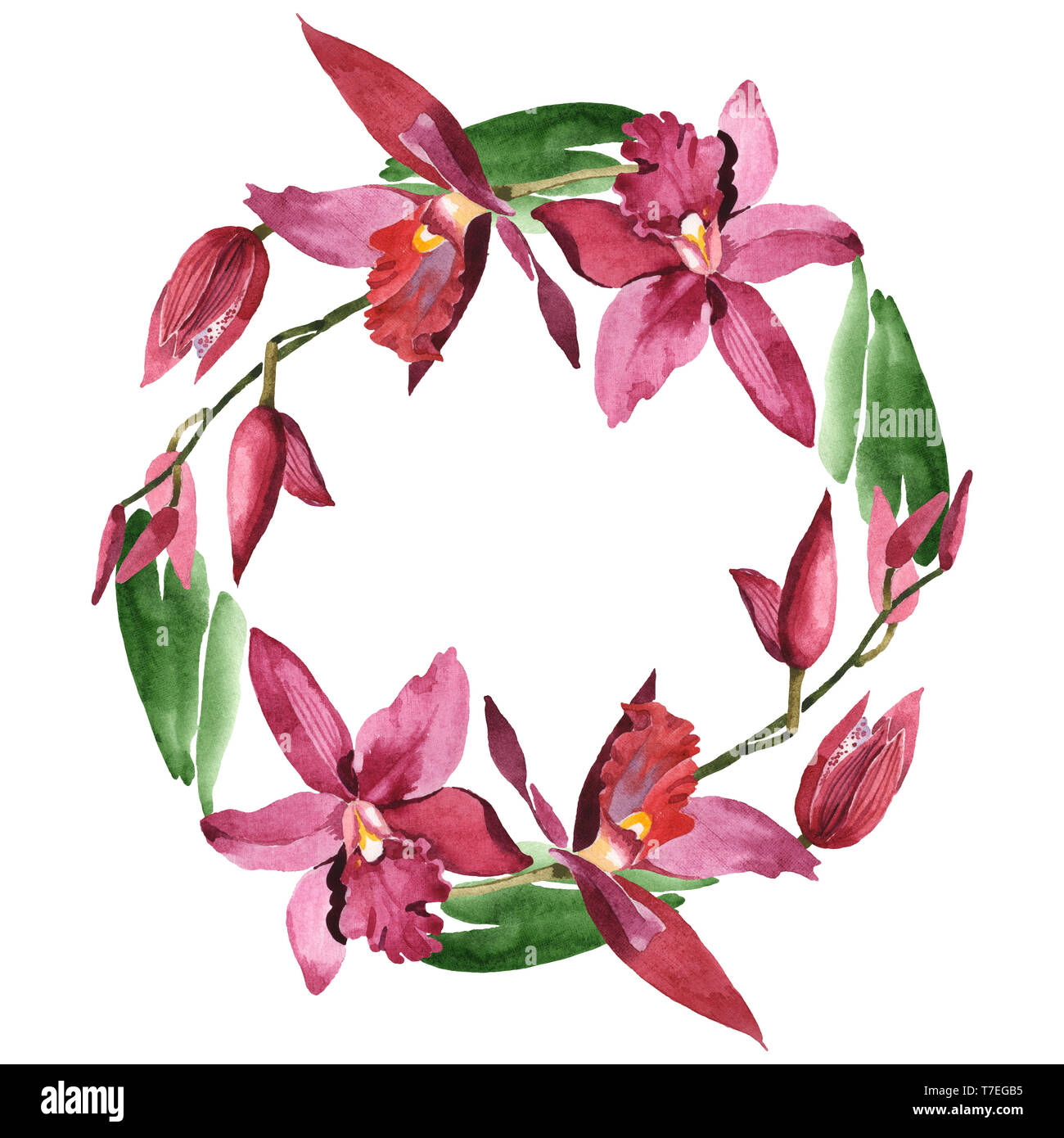 Floral fleurs orchidées botaniques de Marsala. Lame de ressort sauvages isolés de fleurs sauvages. Contexte aquarelle illustration set. Aquarelle Dessin fashion aqu Banque D'Images