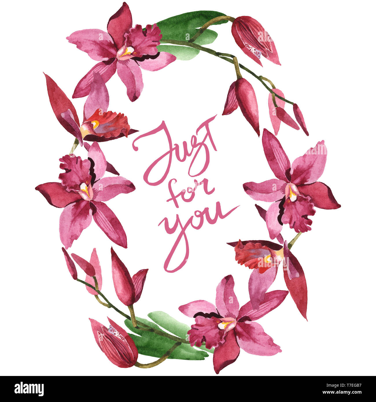 Floral fleurs orchidées botaniques de Marsala. Lame de ressort sauvages isolés de fleurs sauvages. Contexte aquarelle illustration set. Aquarelle Dessin fashion aqu Banque D'Images