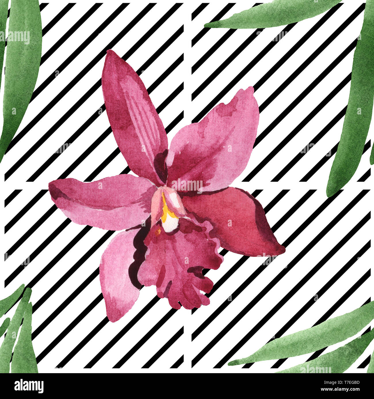 Orchidées fleurs botanique de Marsala. Lame de ressort sauvages isolés de fleurs sauvages. Illustration à l'aquarelle. Aquarelle Dessin aquarelle de mode. B transparente Banque D'Images