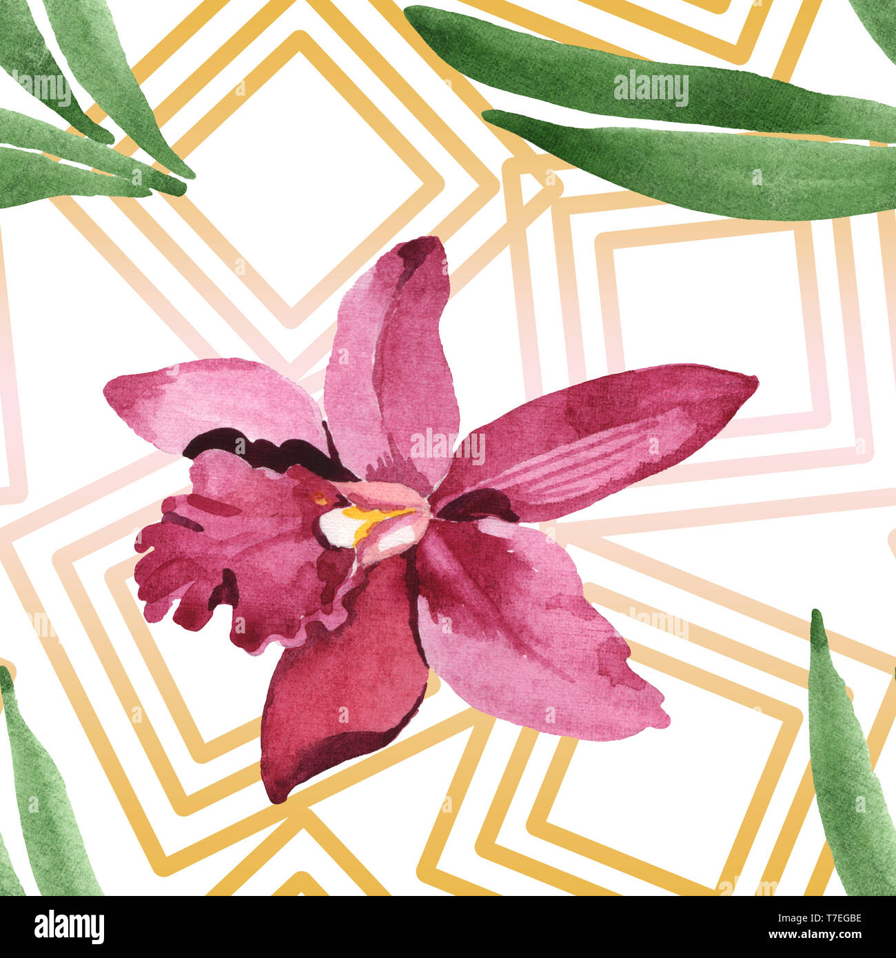 Orchidées fleurs botanique de Marsala. Lame de ressort sauvages isolés de fleurs sauvages. Illustration à l'aquarelle. Aquarelle Dessin aquarelle de mode. B transparente Banque D'Images