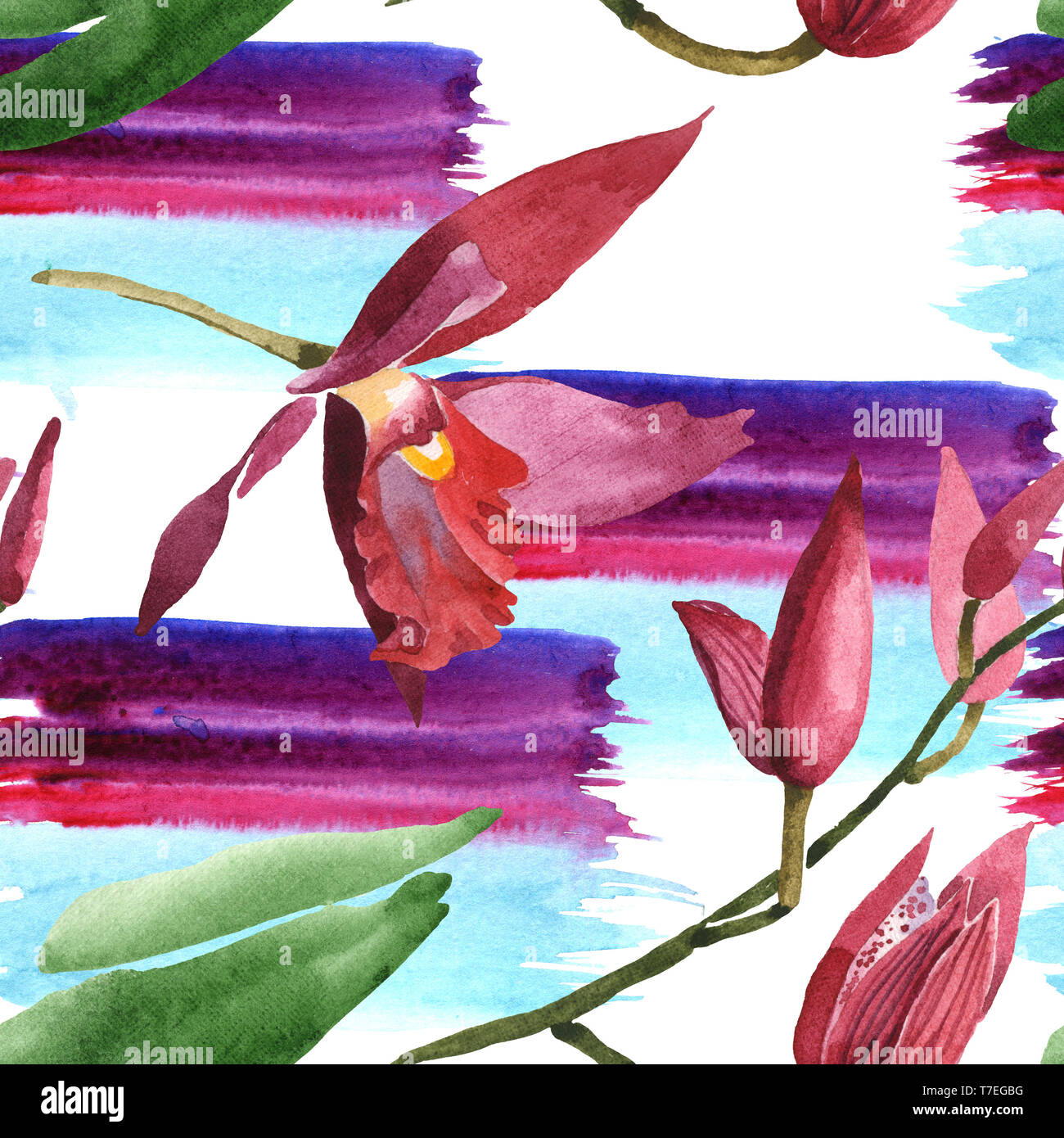 Orchidées fleurs botanique de Marsala. Lame de ressort sauvages isolés de fleurs sauvages. Illustration à l'aquarelle. Aquarelle Dessin aquarelle de mode. B transparente Banque D'Images