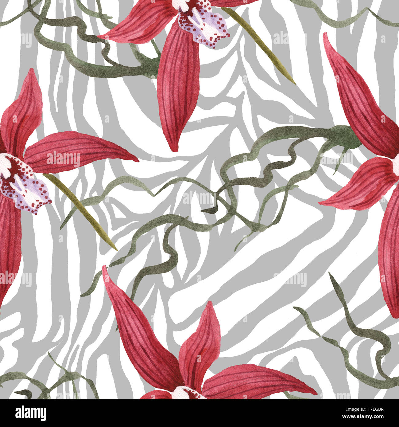 Orchidées fleurs botanique de Marsala. Lame de ressort sauvages isolés de fleurs sauvages. Illustration à l'aquarelle. Aquarelle Dessin aquarelle de mode. B transparente Banque D'Images