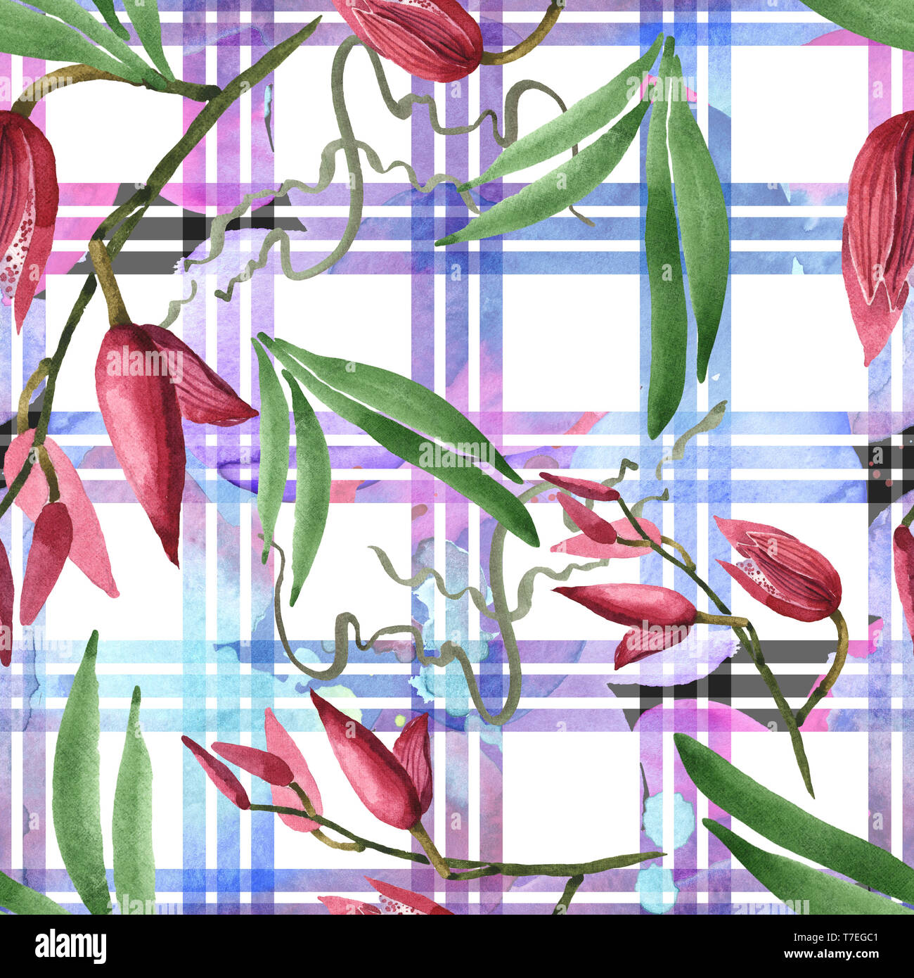 Orchidées fleurs botanique de Marsala. Lame de ressort sauvages isolés de fleurs sauvages. Illustration à l'aquarelle. Aquarelle Dessin aquarelle de mode. B transparente Banque D'Images