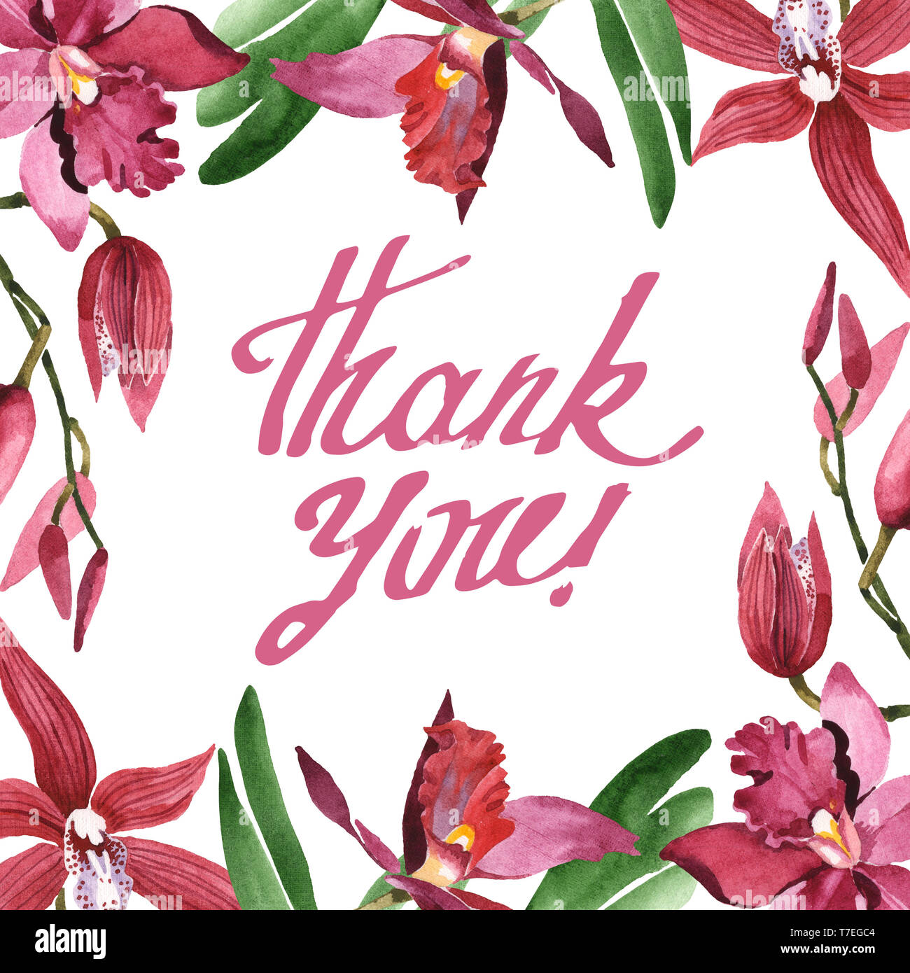 Floral fleurs orchidées botaniques de Marsala. Lame de ressort sauvages isolés de fleurs sauvages. Contexte aquarelle illustration set. Aquarelle Dessin fashion aqu Banque D'Images