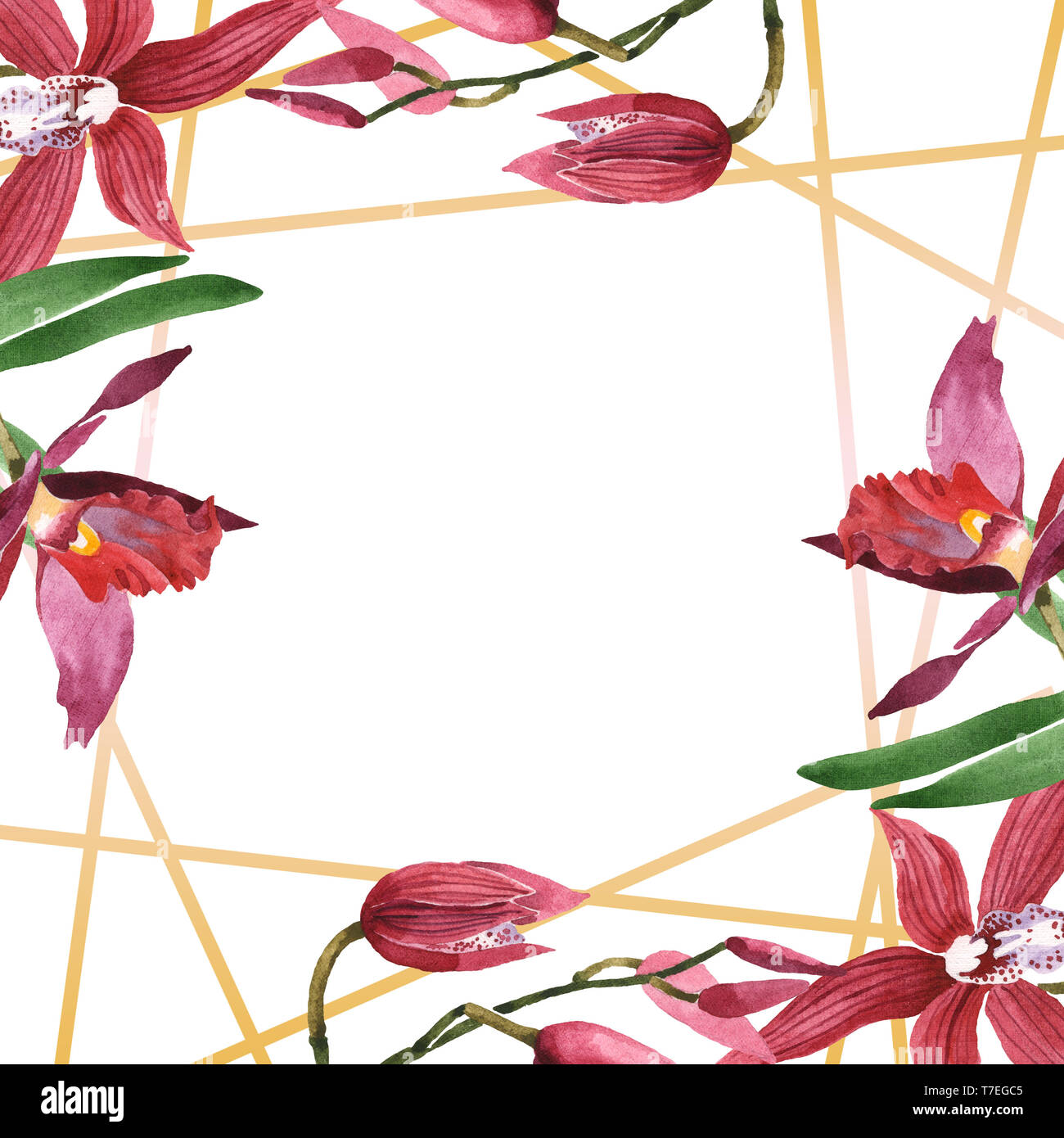 Floral fleurs orchidées botaniques de Marsala. Lame de ressort sauvages isolés de fleurs sauvages. Contexte aquarelle illustration set. Aquarelle Dessin fashion aqu Banque D'Images