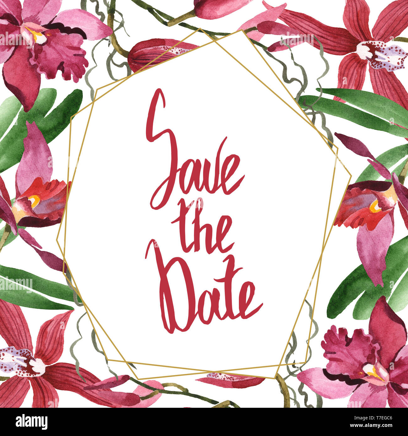 Floral fleurs orchidées botaniques de Marsala. Lame de ressort sauvages isolés de fleurs sauvages. Contexte aquarelle illustration set. Aquarelle Dessin fashion aqu Banque D'Images