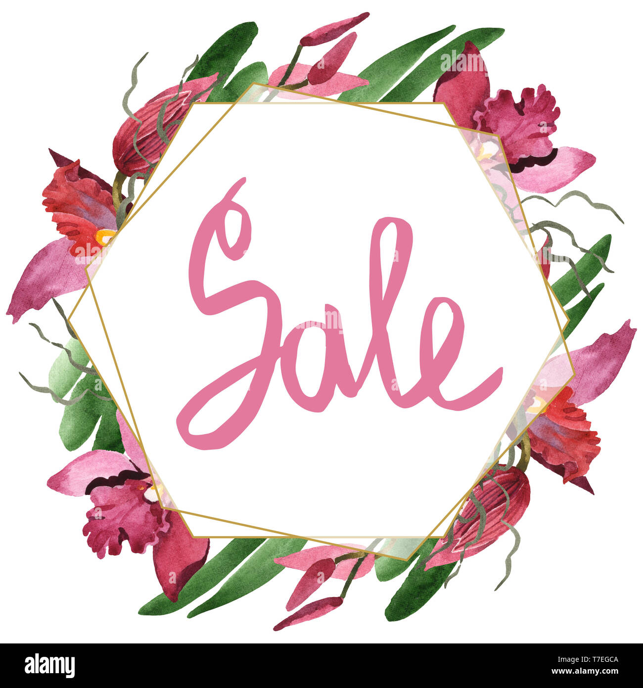 Floral fleurs orchidées botaniques de Marsala. Lame de ressort sauvages isolés de fleurs sauvages. Contexte aquarelle illustration set. Aquarelle Dessin fashion aqu Banque D'Images