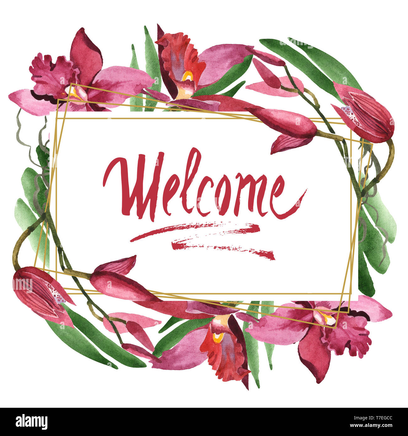 Floral fleurs orchidées botaniques de Marsala. Lame de ressort sauvages isolés de fleurs sauvages. Contexte aquarelle illustration set. Aquarelle Dessin fashion aqu Banque D'Images