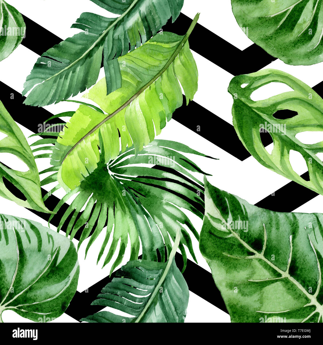 Hawaiian tropical exotique de l'été. Palm Beach de feuilles d'arbres jungle botanique. Illustration à l'aquarelle. Aquarelle Dessin aquarelle. Background transparent Banque D'Images