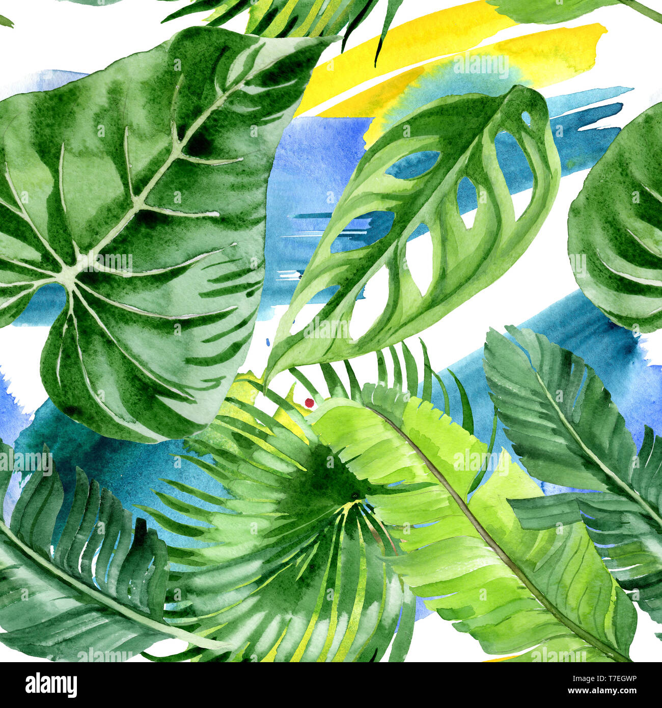 Hawaiian tropical exotique de l'été. Palm Beach de feuilles d'arbres jungle botanique. Illustration à l'aquarelle. Aquarelle Dessin aquarelle. Background transparent Banque D'Images
