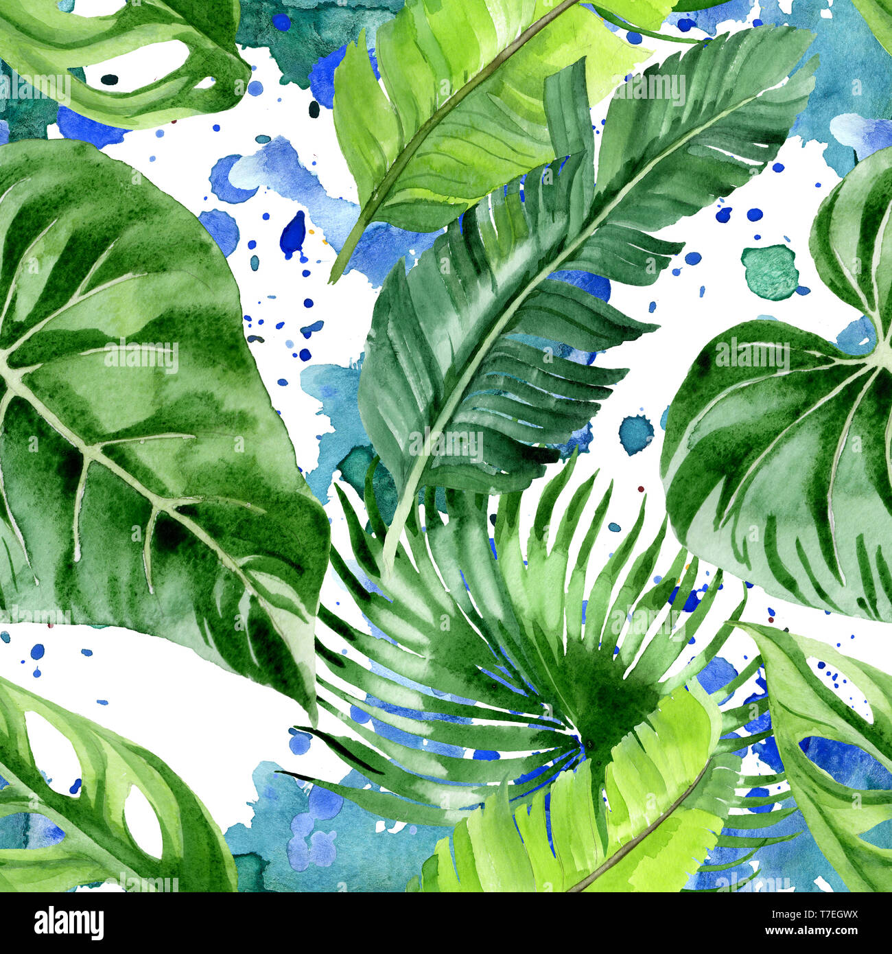 Hawaiian tropical exotique de l'été. Palm Beach de feuilles d'arbres jungle botanique. Illustration à l'aquarelle. Aquarelle Dessin aquarelle. Background transparent Banque D'Images