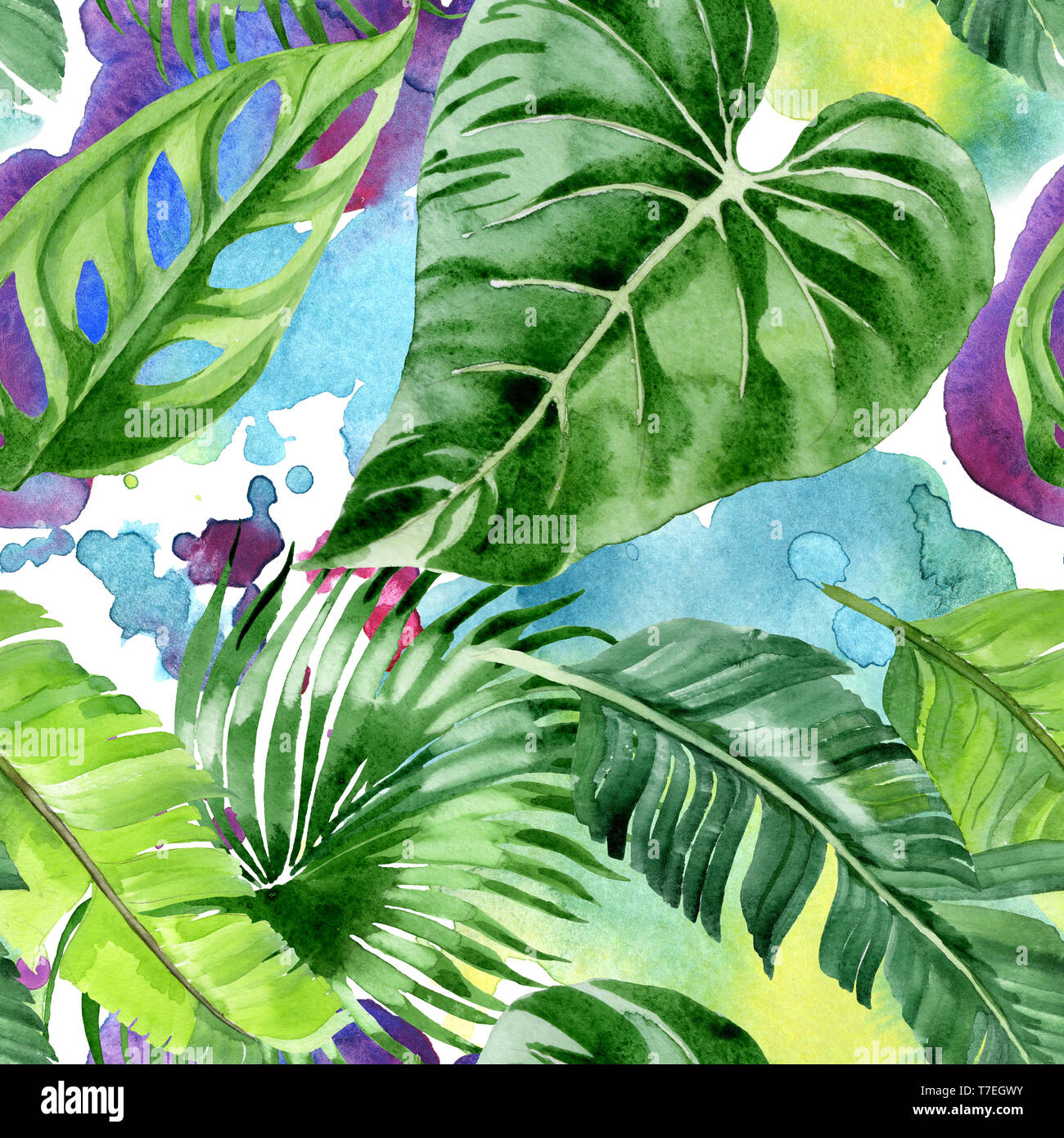 Hawaiian tropical exotique de l'été. Palm Beach de feuilles d'arbres jungle botanique. Illustration à l'aquarelle. Aquarelle Dessin aquarelle. Background transparent Banque D'Images
