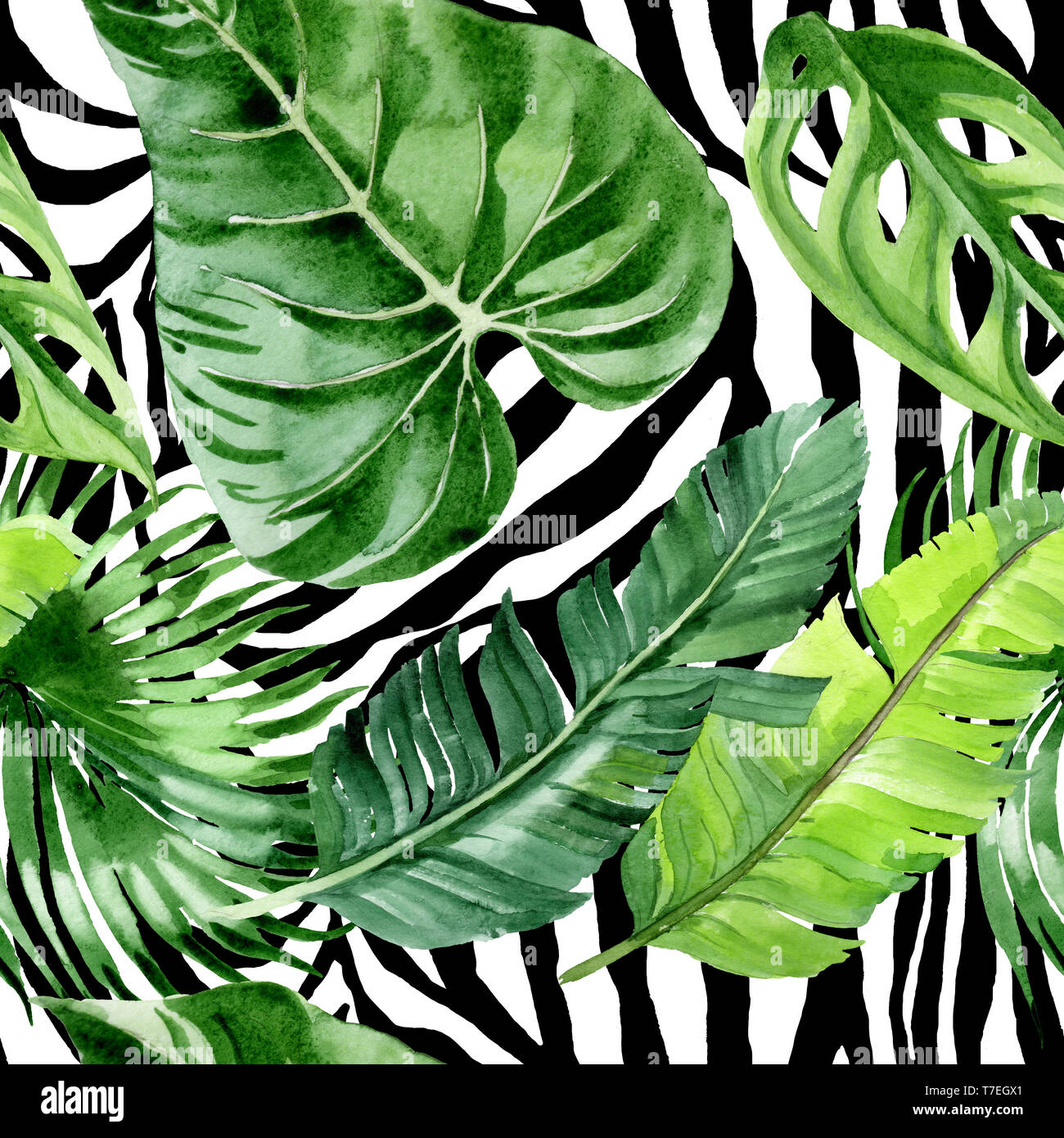 Hawaiian tropical exotique de l'été. Palm Beach de feuilles d'arbres jungle botanique. Illustration à l'aquarelle. Aquarelle Dessin aquarelle. Background transparent Banque D'Images