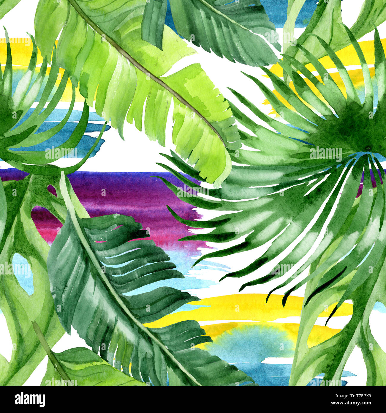 Hawaiian tropical exotique de l'été. Palm Beach de feuilles d'arbres jungle botanique. Illustration à l'aquarelle. Aquarelle Dessin aquarelle. Background transparent Banque D'Images