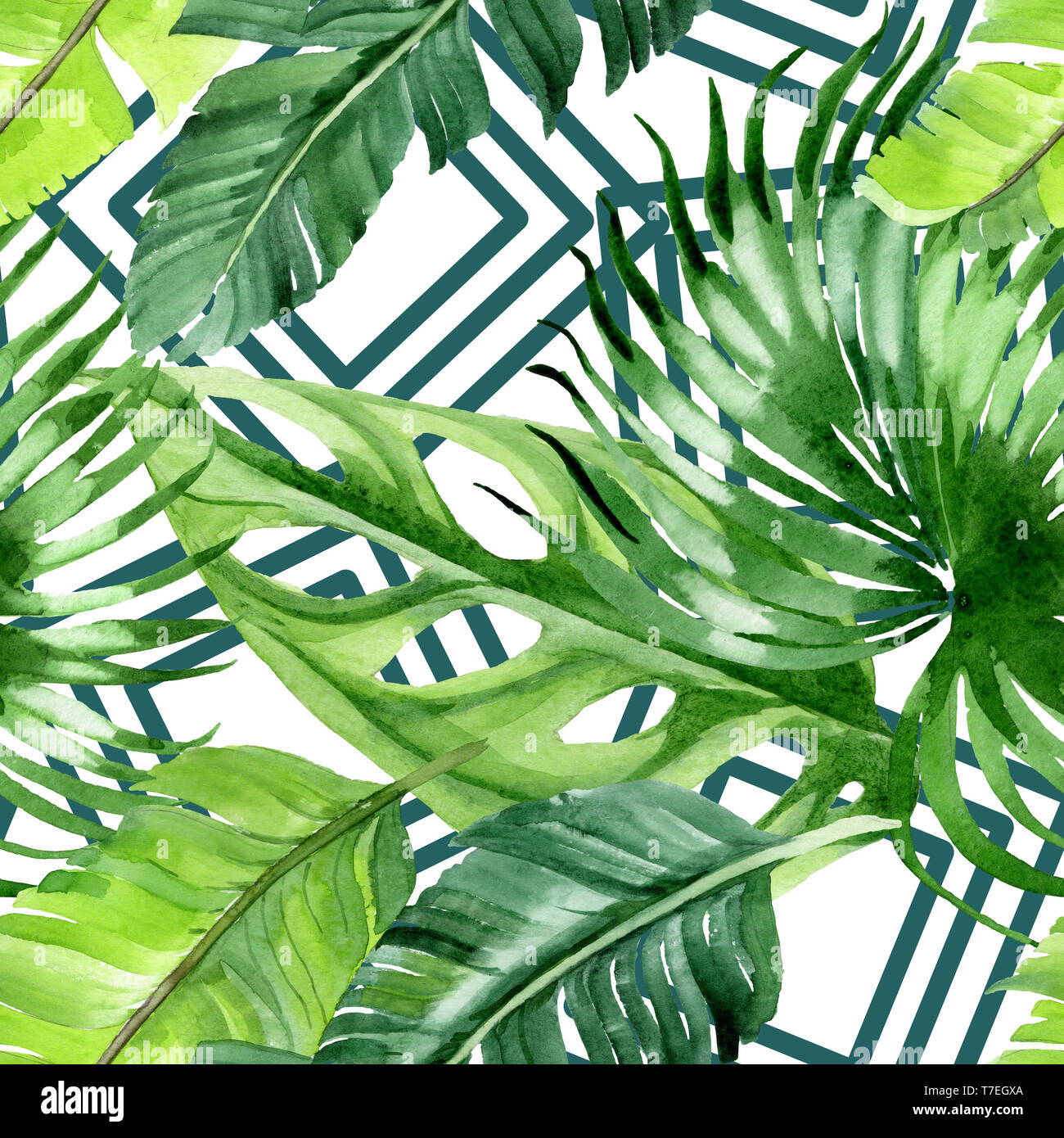 Hawaiian tropical exotique de l'été. Palm Beach de feuilles d'arbres jungle botanique. Illustration à l'aquarelle. Aquarelle Dessin aquarelle. Background transparent Banque D'Images