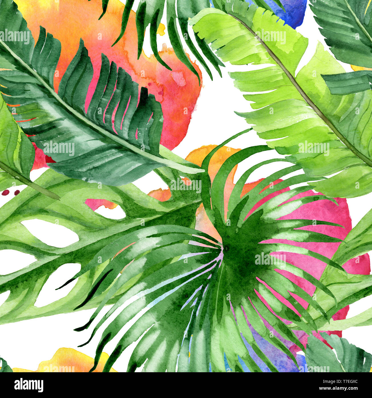 Hawaiian tropical exotique de l'été. Palm Beach de feuilles d'arbres jungle botanique. Illustration à l'aquarelle. Aquarelle Dessin aquarelle. Background transparent Banque D'Images