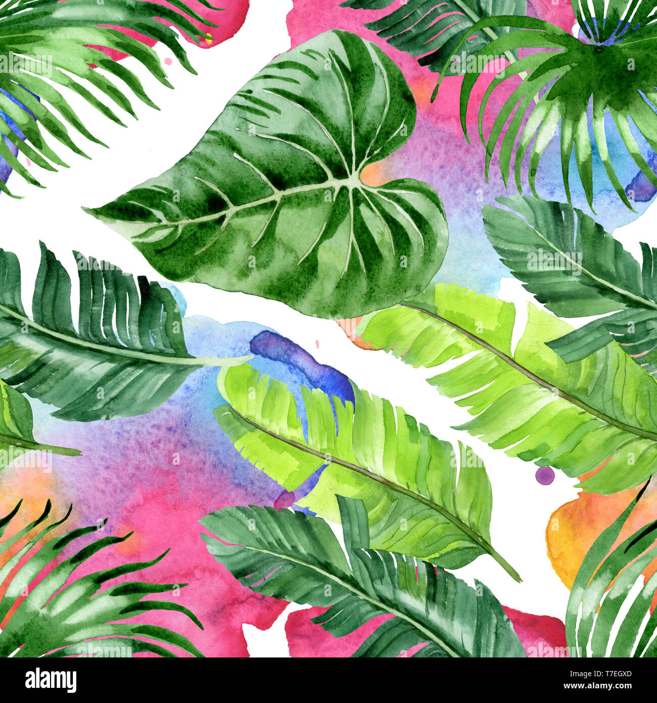 Hawaiian tropical exotique de l'été. Palm Beach de feuilles d'arbres jungle botanique. Illustration à l'aquarelle. Aquarelle Dessin aquarelle. Background transparent Banque D'Images