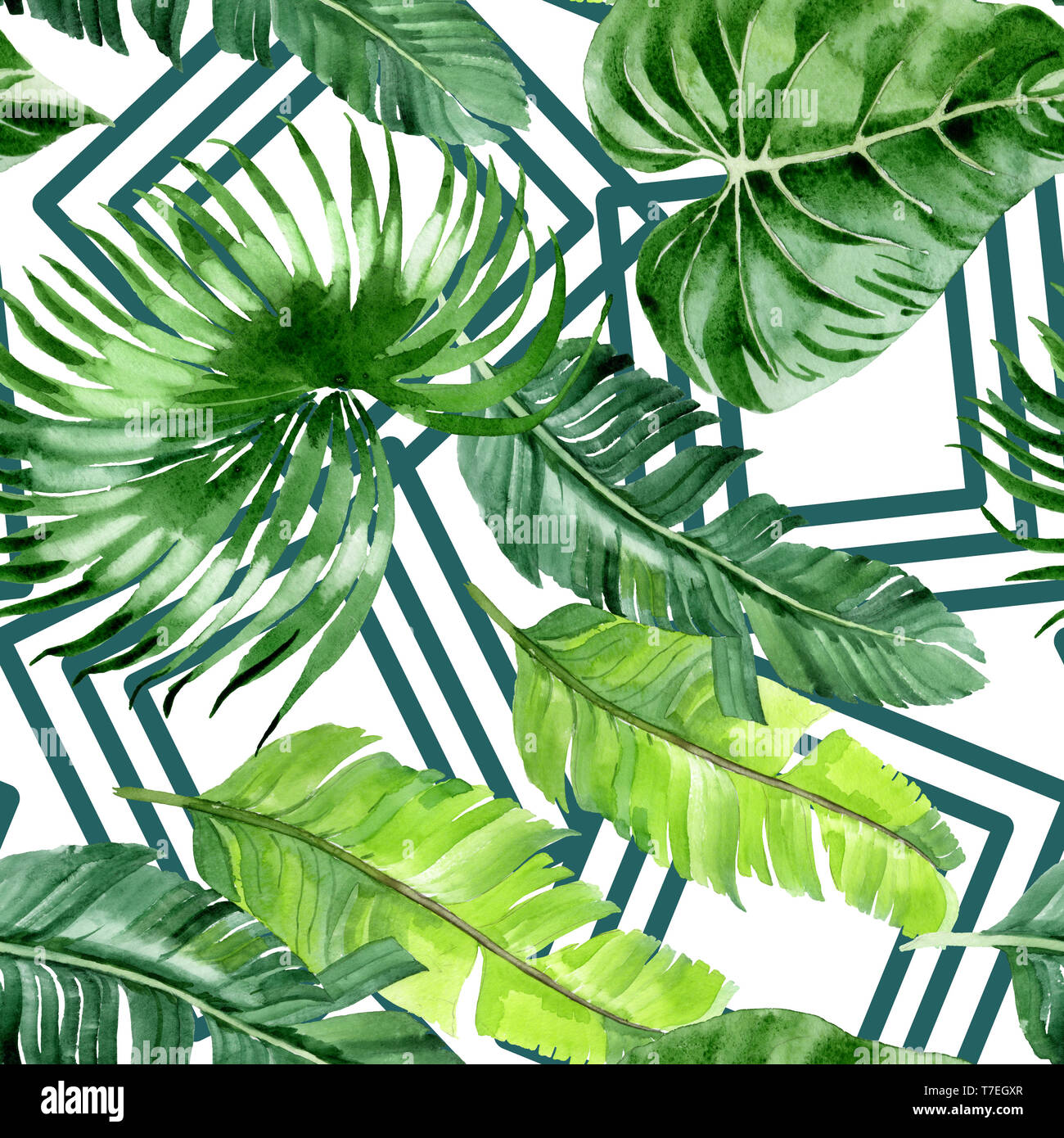 Hawaiian tropical exotique de l'été. Palm Beach de feuilles d'arbres jungle botanique. Illustration à l'aquarelle. Aquarelle Dessin aquarelle. Background transparent Banque D'Images