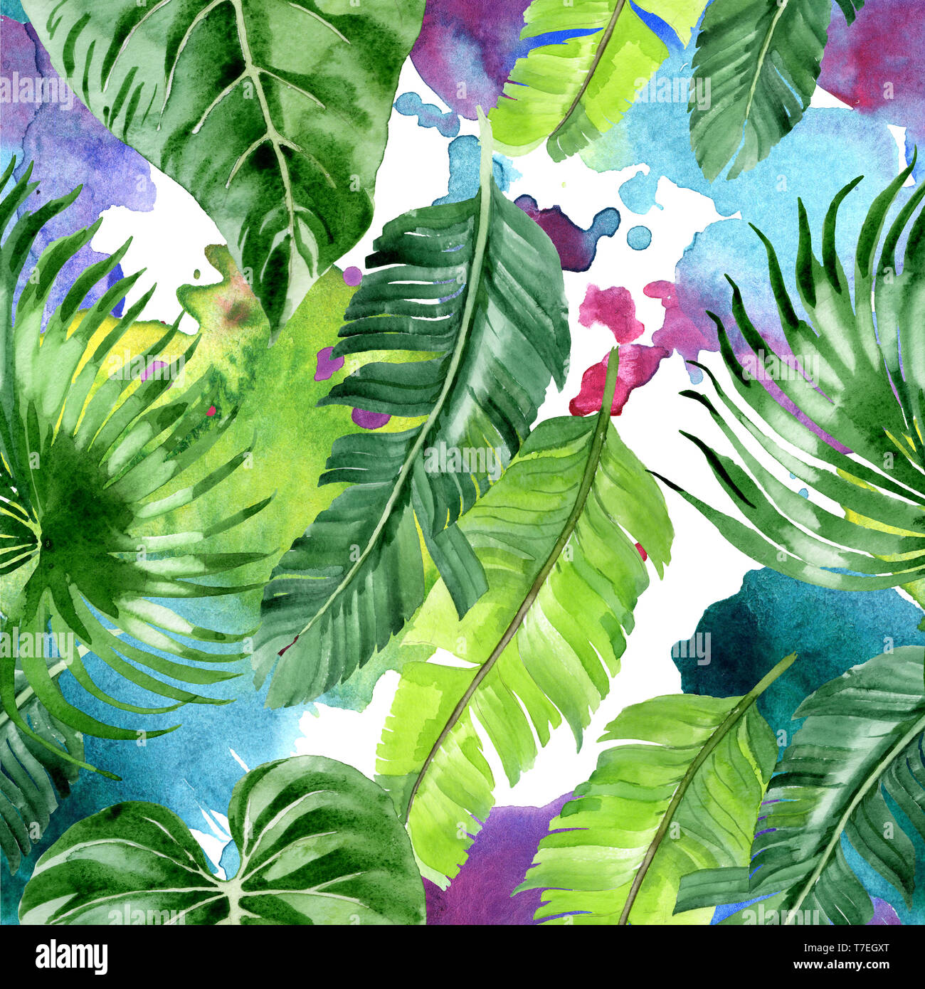Hawaiian tropical exotique de l'été. Palm Beach de feuilles d'arbres jungle botanique. Illustration à l'aquarelle. Aquarelle Dessin aquarelle. Background transparent Banque D'Images