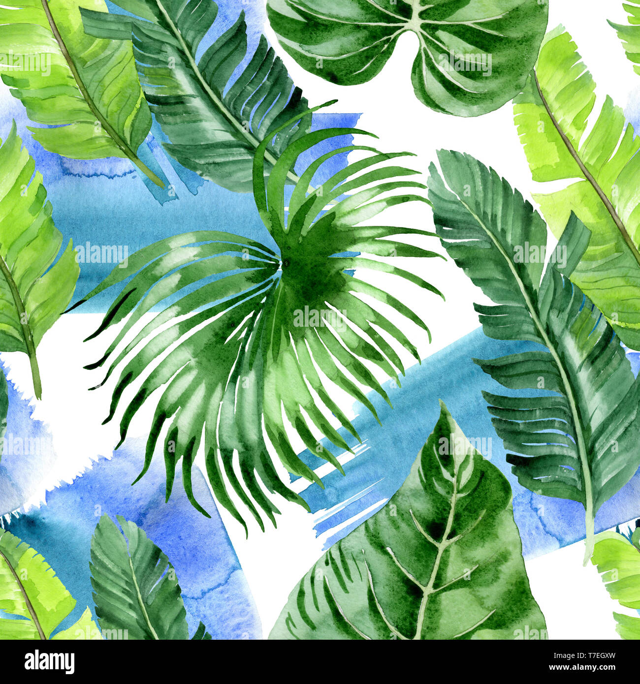 Hawaiian tropical exotique de l'été. Palm Beach de feuilles d'arbres jungle botanique. Illustration à l'aquarelle. Aquarelle Dessin aquarelle. Background transparent Banque D'Images