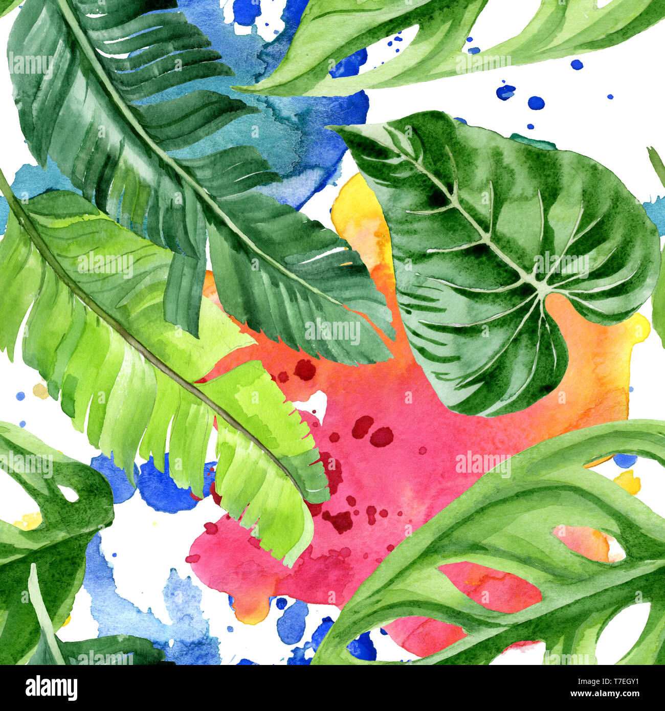 Hawaiian tropical exotique de l'été. Palm Beach de feuilles d'arbres jungle botanique. Illustration à l'aquarelle. Aquarelle Dessin aquarelle. Background transparent Banque D'Images