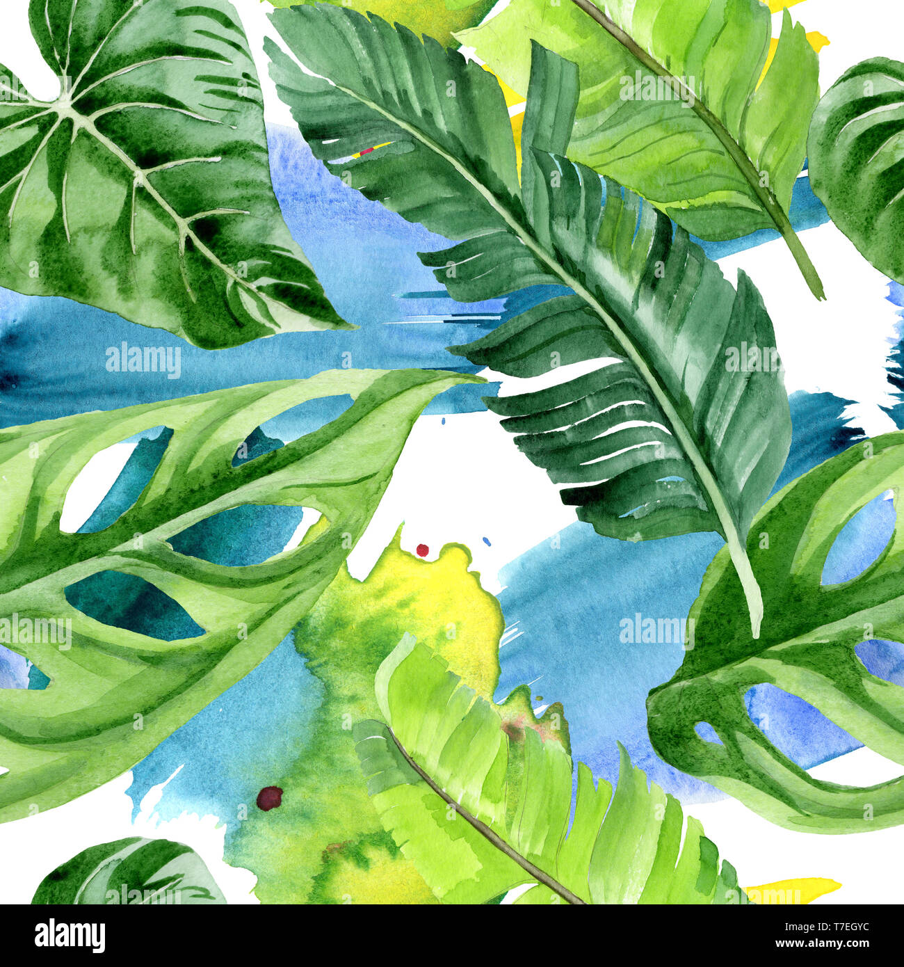 Hawaiian tropical exotique de l'été. Palm Beach de feuilles d'arbres jungle botanique. Illustration à l'aquarelle. Aquarelle Dessin aquarelle. Background transparent Banque D'Images