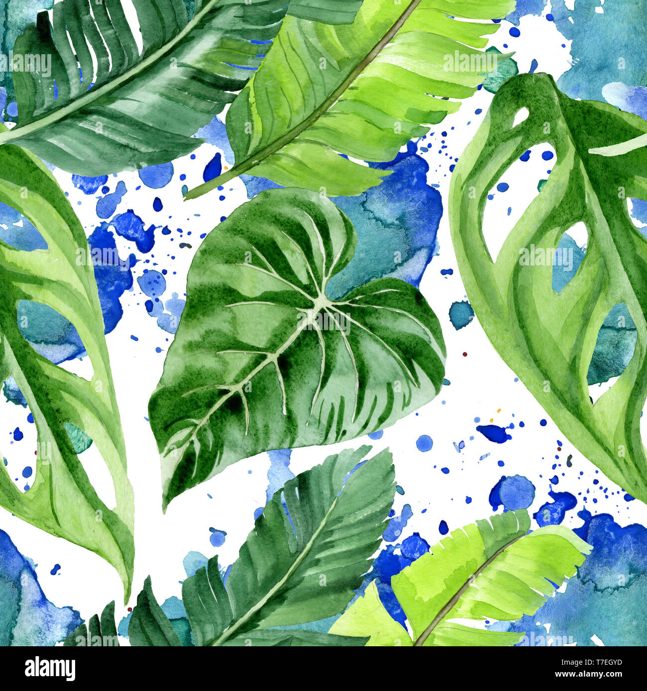 Hawaiian tropical exotique de l'été. Palm Beach de feuilles d'arbres jungle botanique. Illustration à l'aquarelle. Aquarelle Dessin aquarelle. Background transparent Banque D'Images