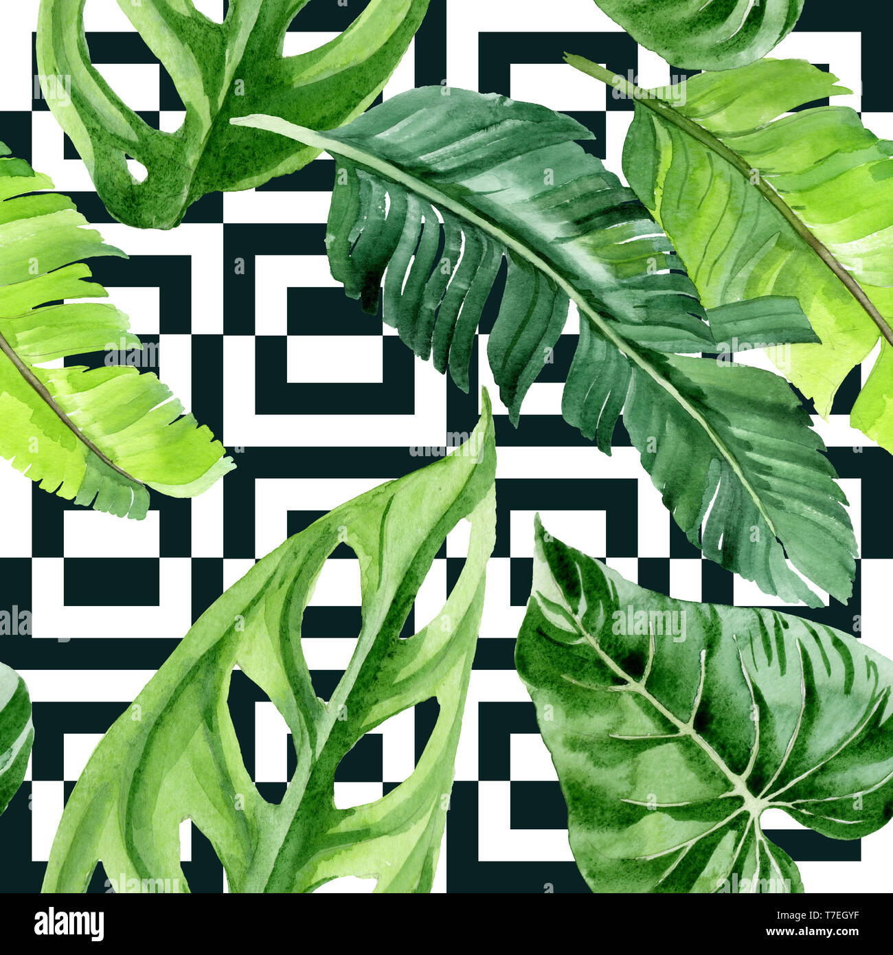 Hawaiian tropical exotique de l'été. Palm Beach de feuilles d'arbres jungle botanique. Illustration à l'aquarelle. Aquarelle Dessin aquarelle. Background transparent Banque D'Images