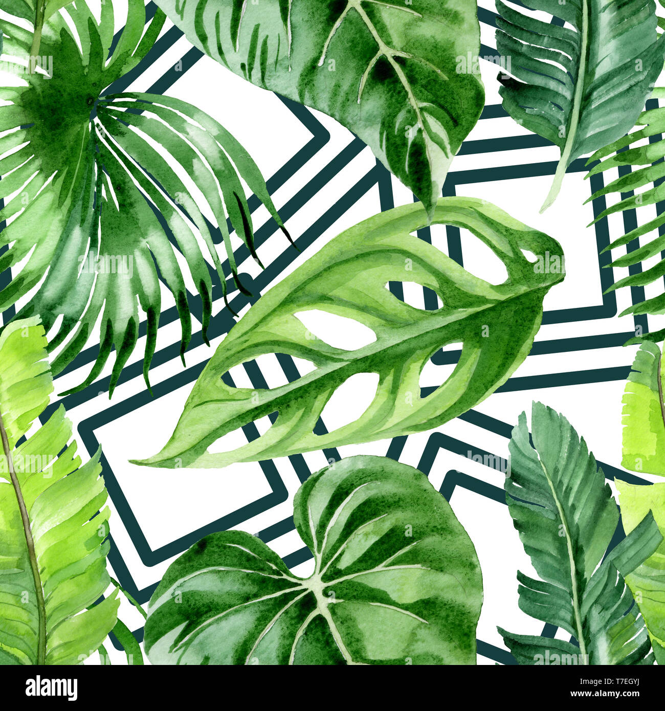 Hawaiian tropical exotique de l'été. Palm Beach de feuilles d'arbres jungle botanique. Illustration à l'aquarelle. Aquarelle Dessin aquarelle. Background transparent Banque D'Images