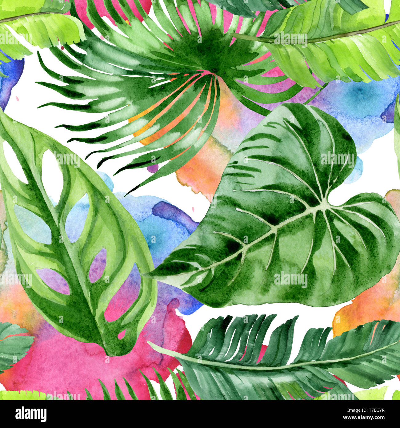 Hawaiian tropical exotique de l'été. Palm Beach de feuilles d'arbres jungle botanique. Illustration à l'aquarelle. Aquarelle Dessin aquarelle. Background transparent Banque D'Images