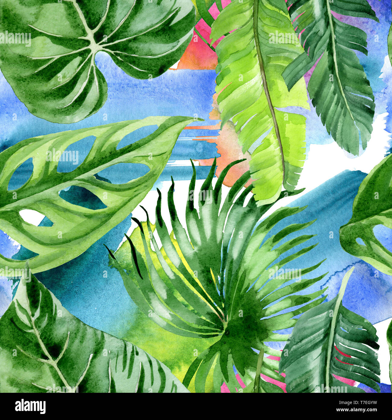 Hawaiian tropical exotique de l'été. Palm Beach de feuilles d'arbres jungle botanique. Illustration à l'aquarelle. Aquarelle Dessin aquarelle. Background transparent Banque D'Images