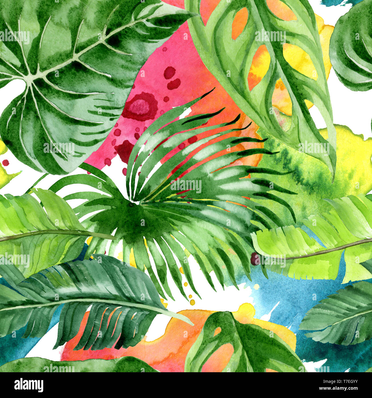 Hawaiian tropical exotique de l'été. Palm Beach de feuilles d'arbres jungle botanique. Illustration à l'aquarelle. Aquarelle Dessin aquarelle. Background transparent Banque D'Images