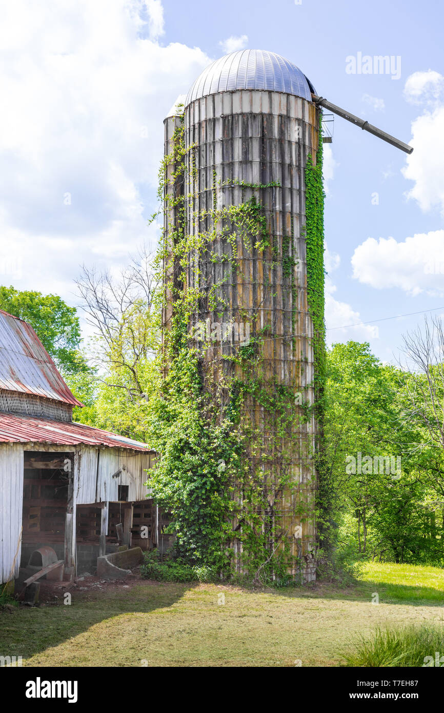 Calcaire, TN, USA : 28/04/19 : Une coupole surmontée de silo du bâton en béton, couverte de lierre, et à proximité d'une ancienne grange. Journée ensoleillée. Banque D'Images