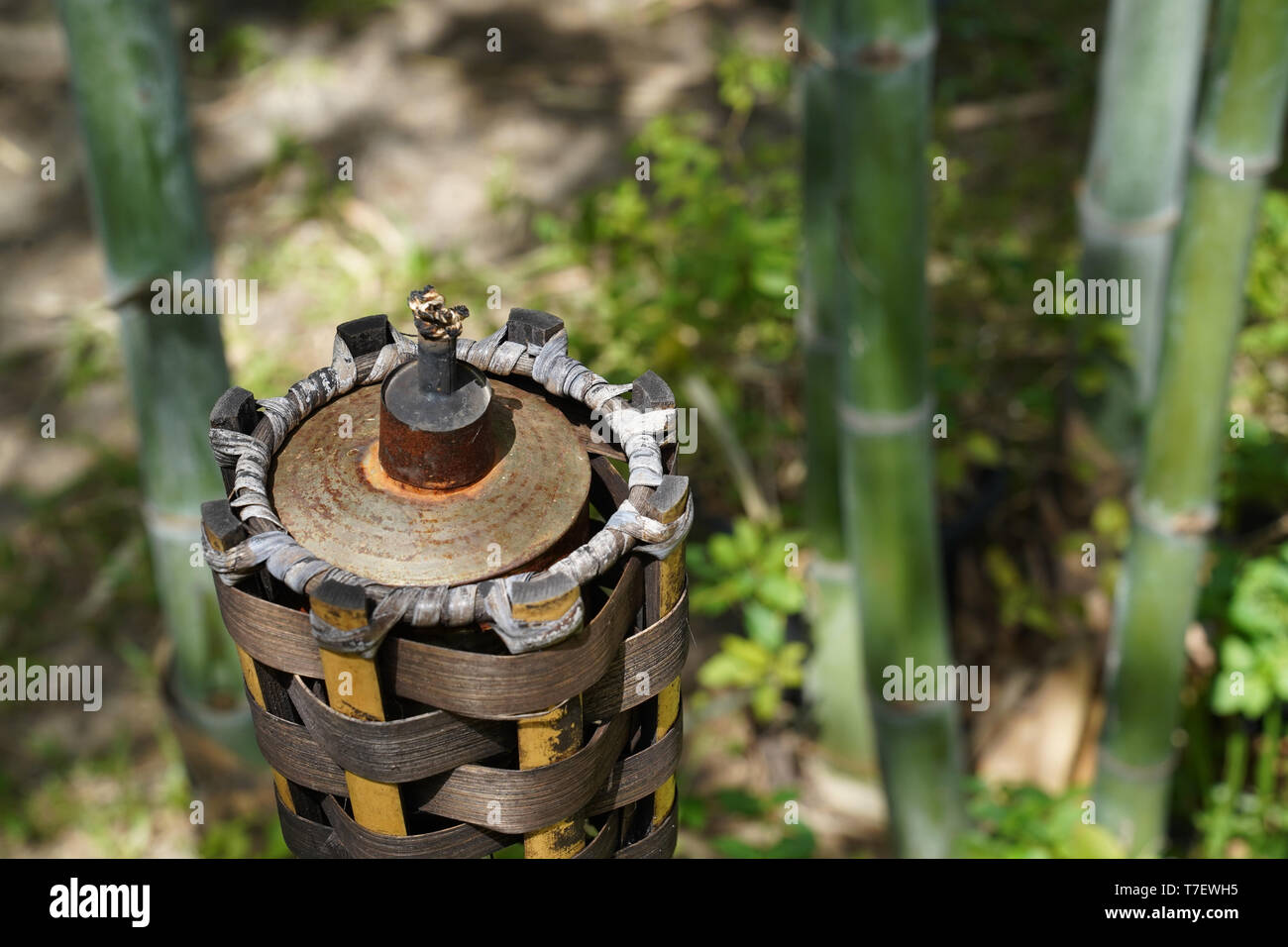 Torche bambou sans feu dans le jardin à midi Photo Stock - Alamy