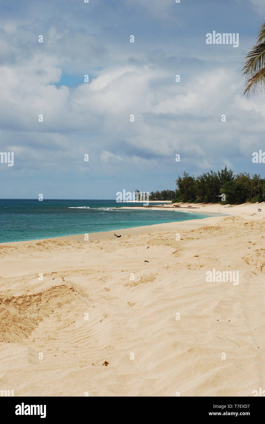 Sandy Beach ocean shore Honolulu Oahu Hawaii de l'eau claire Banque D'Images