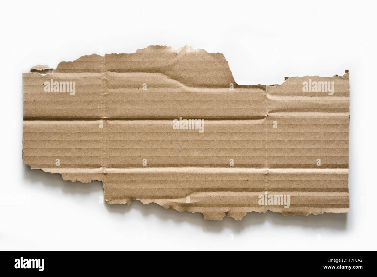 Morceau de carton déchiré sur fond blanc. Banque D'Images