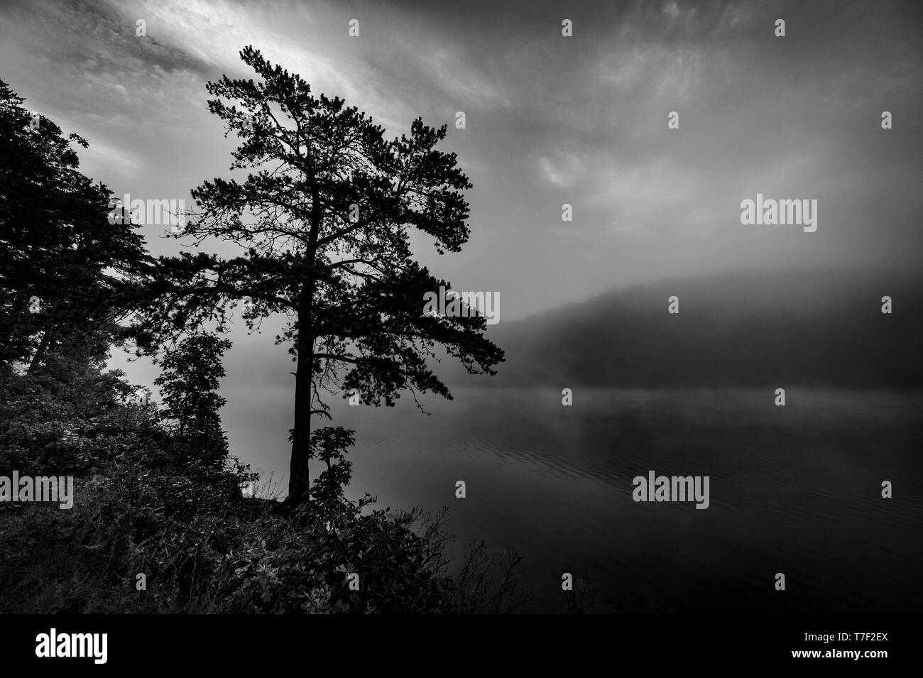 Misty Foggy Mountain Lake Banque D'Images